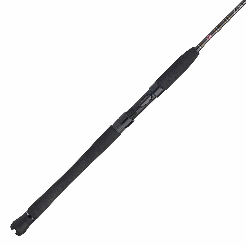 Carnage® III Inshore Spinning Rod