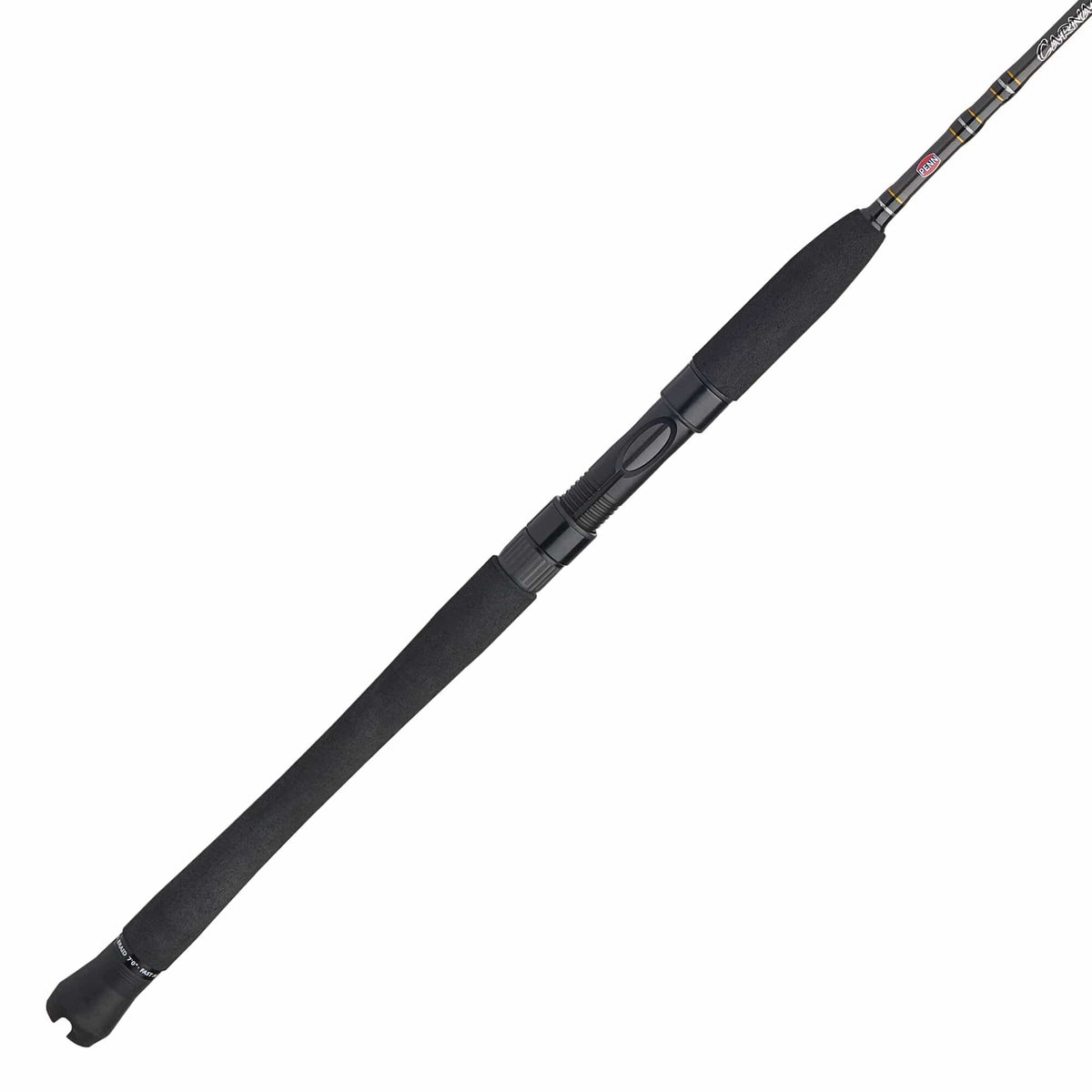 Carnage® III Inshore Spinning Rod