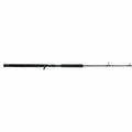 Squadron® IV Jig Conventional Rod