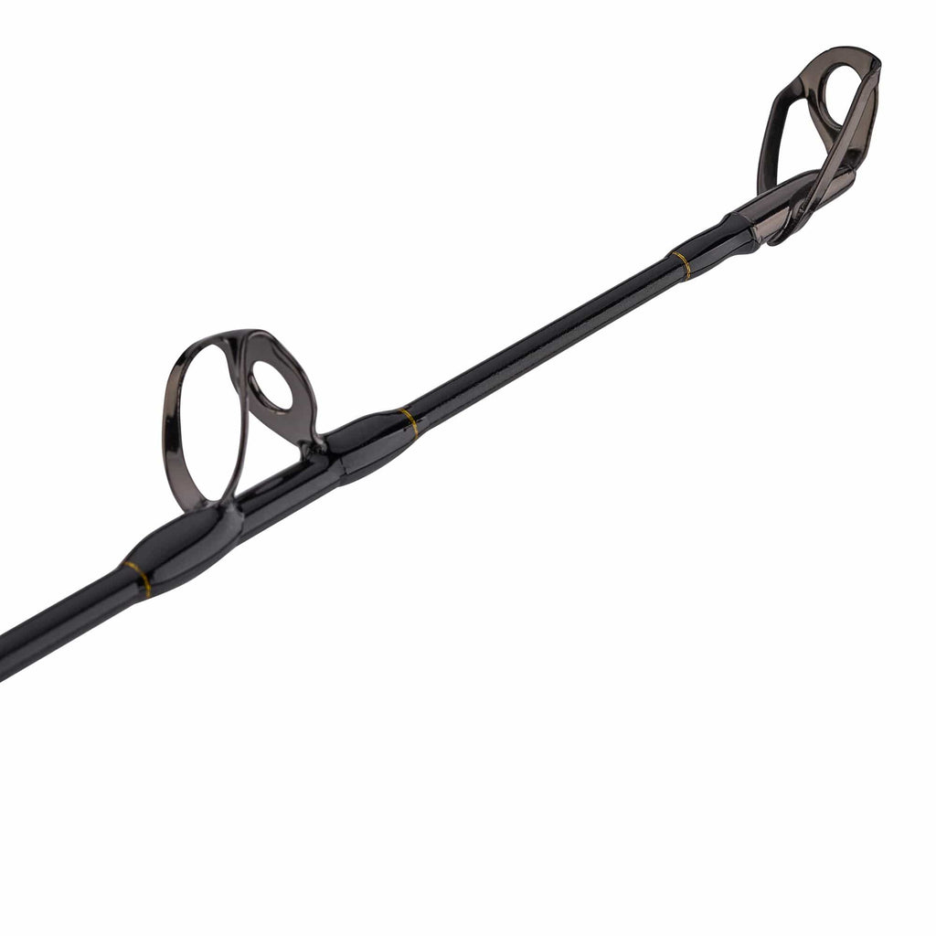 Squall® II Lever Drag Conventional Combo